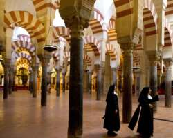 The beauty of the cathedral is the most astonishing it has various arches which are supported by 856 granite and marble pillars. It looks most beautif
